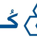 چینی کرد