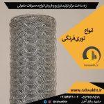 توری فرنگی
